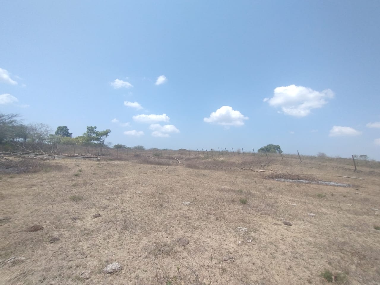 Finca Raiz